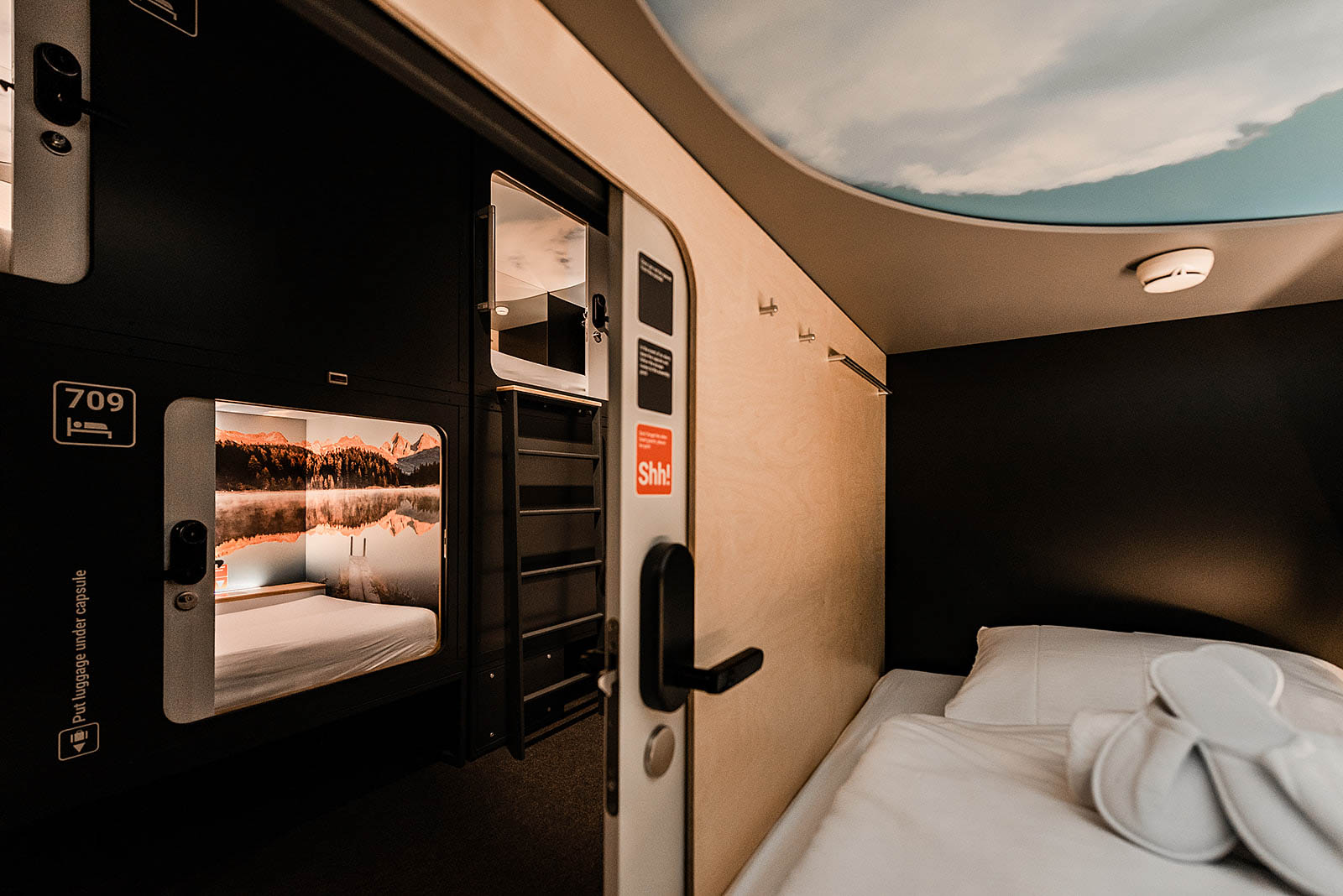 Cozy capsule room with scenic mural and ladder access at Capsule Hotel Alpine Garden Zurich Airport.