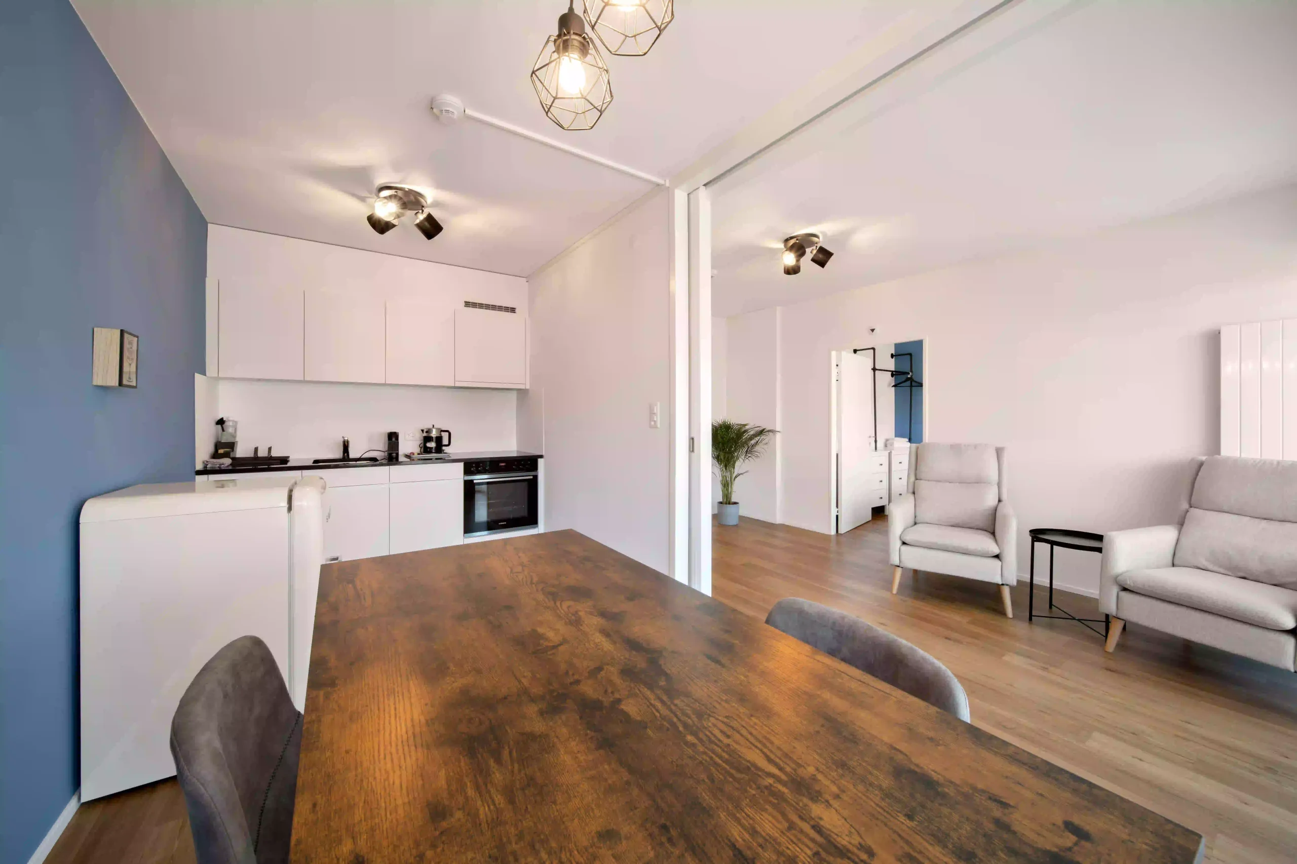 Modern apartment interior with kitchen, dining table, and cozy seating area at Hyve Basel Capsule Hotel.